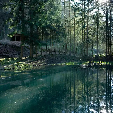 Fh Gestiefelter Kater Am Im Hessischen Bergland Ferienhaus *